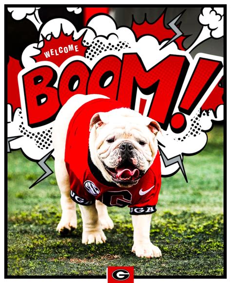Boom Ugz in Pop Culture: How the Mascot Has Become a Symbol of Youth and Happiness